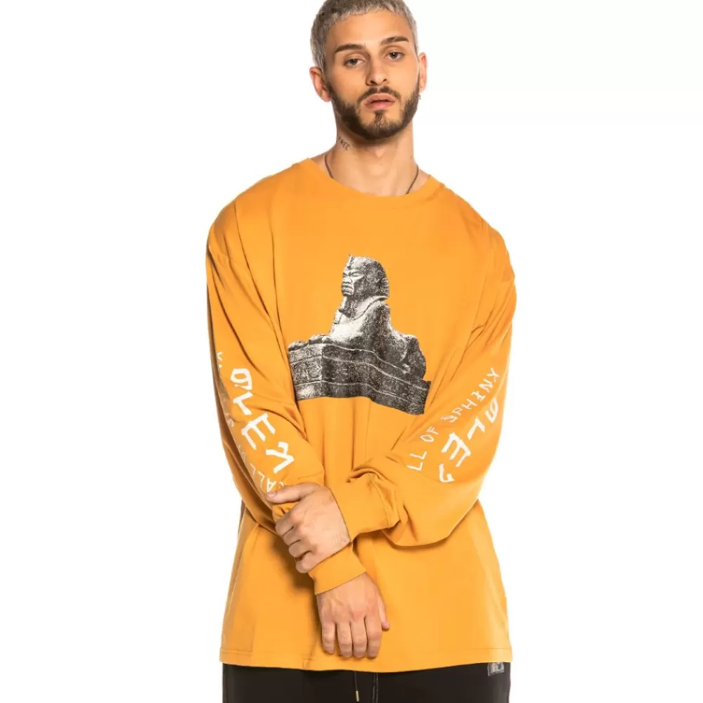 Grimey Camiseta Call Of Yore Long Sleeve Fw20 Brown Cheap